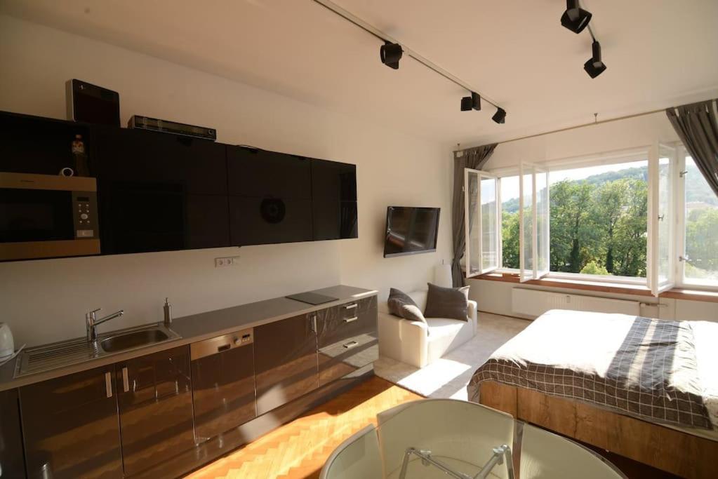 Fabulous River View Studio In The Heart Of Apartment Prag